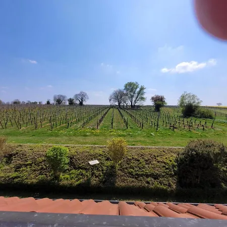 Vongerichten * Oberhausen (Sudliche Weinstrasse)