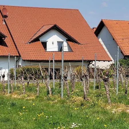 Vongerichten Holiday home