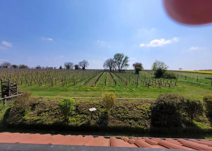 Vongerichten * Oberhausen (Sudliche Weinstrasse)